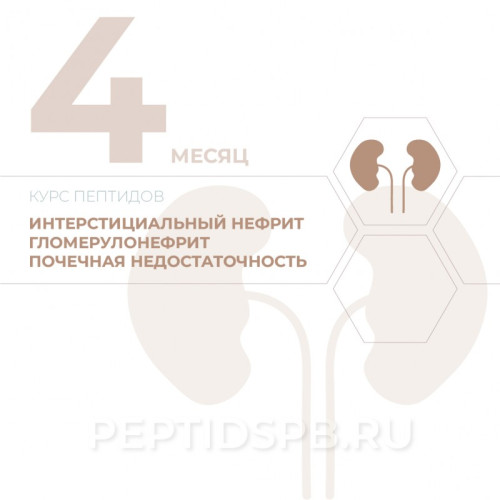 КУРС 4-Й МЕСЯЦ - Интерстициальный нефрит, гломерулонефрит, почечная недостаточность