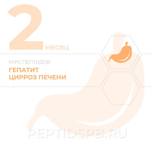 КУРС 2-Й МЕСЯЦ - Гепатит, цирроз печени
